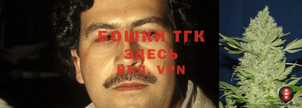 PSILOCYBIN Абдулино