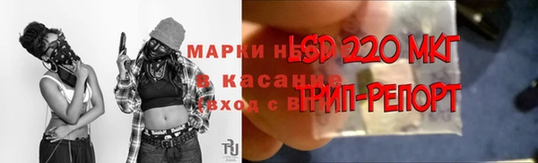 твердый Алексеевка