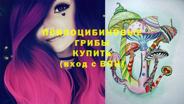 твердый Алексеевка